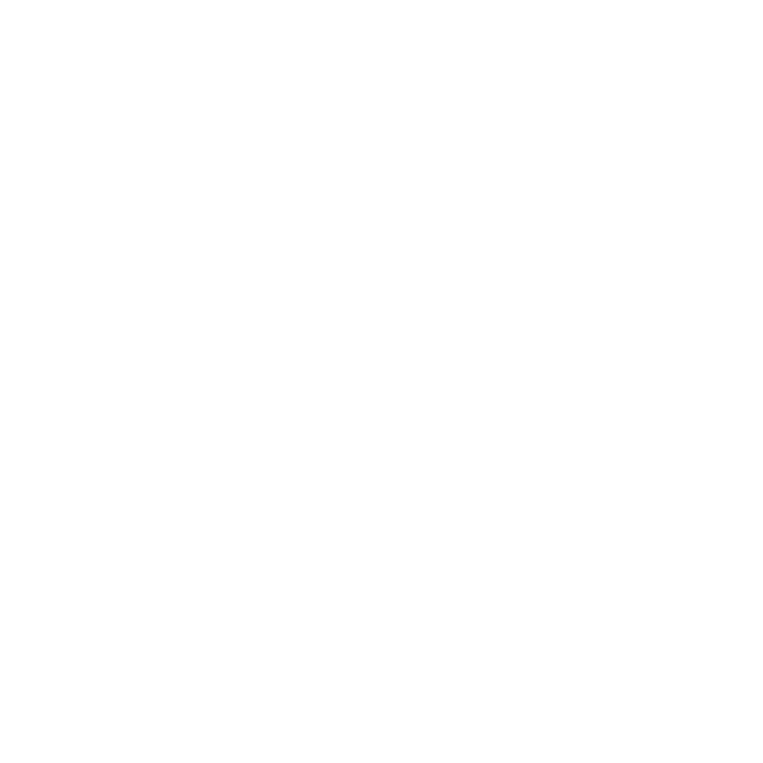 Orca